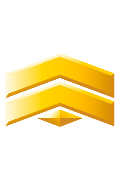 Corporal Grade 2 rank icon