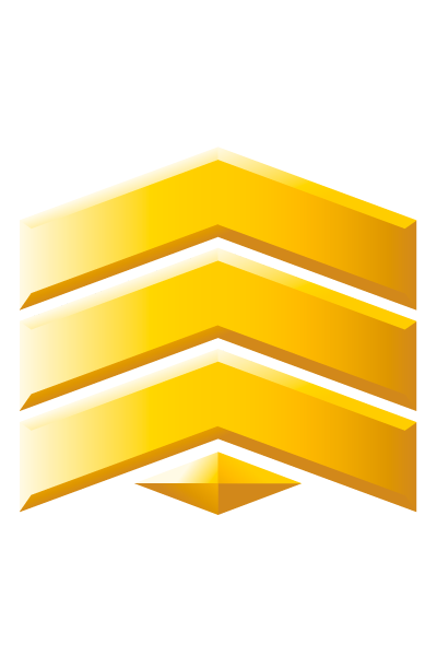 Sergeant Grade 2 rank icon